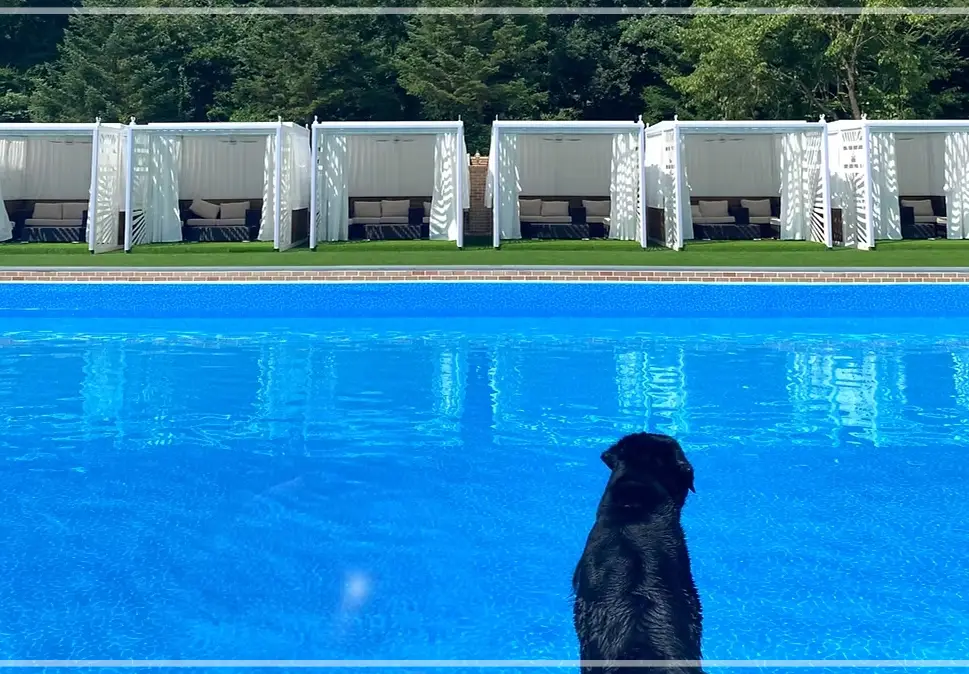 집-나가면-개호강-장소-팔레드-차밍-애견-동반-리조트