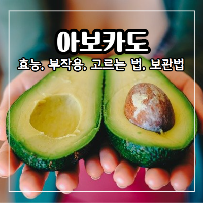 아보카도 효능과 부작용 및 보관법&#44; 아보카도 고르는 법