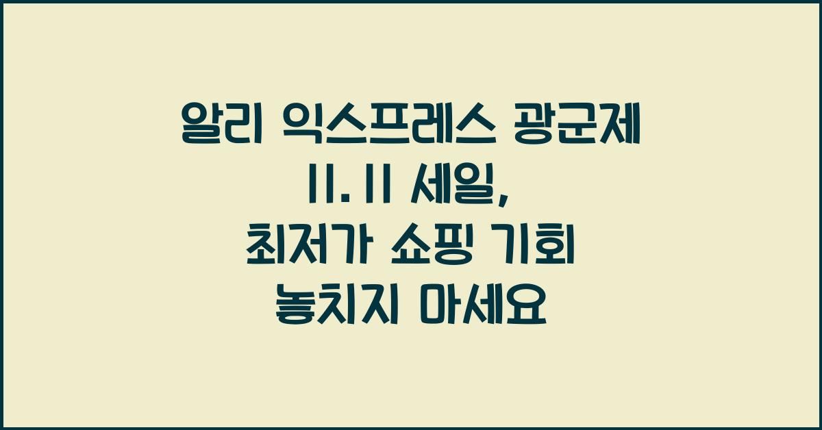 알리 익스프레스 광군제 11.11 세일