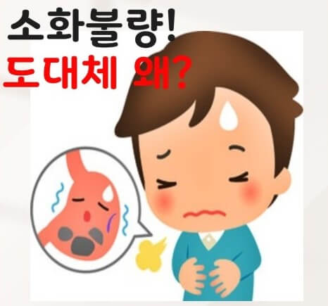 소화불량