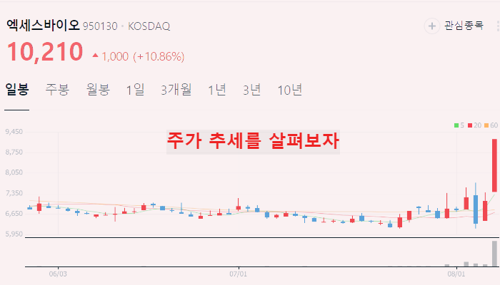 코로나 관련주 대장주 10 종목 정리 : 진단키트