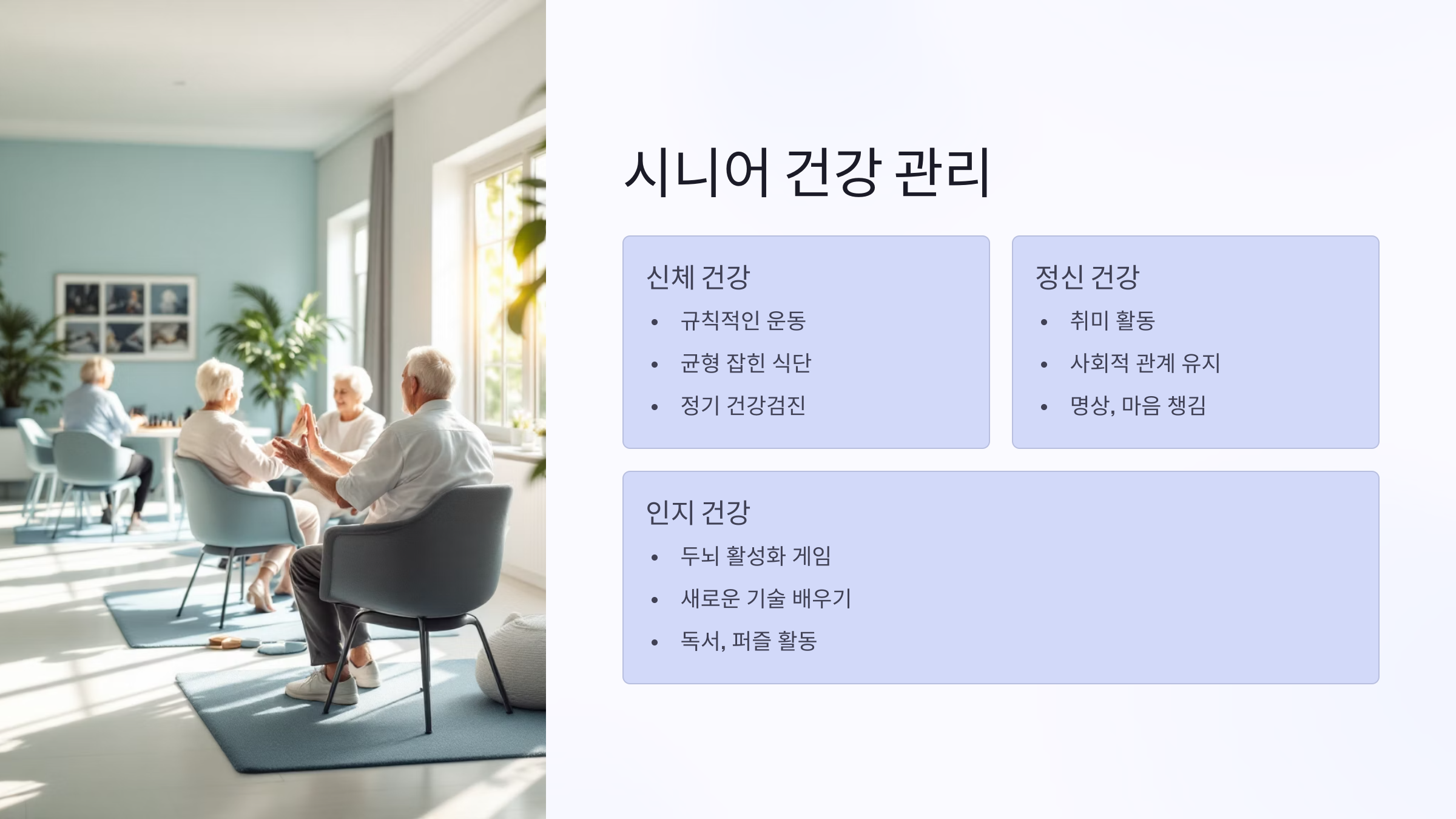 시니어 뜻