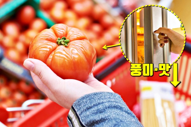 토마토 냉장고 보관해도 되나요?, 팁줌마 매일꿀정보