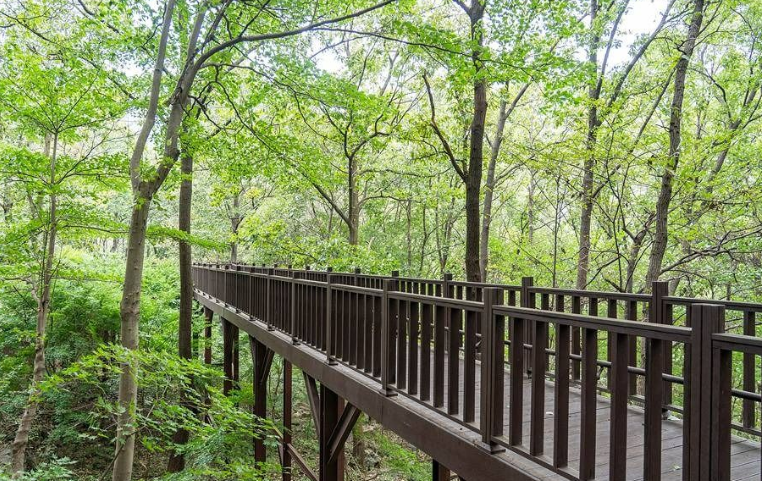 테크로드 휴양림