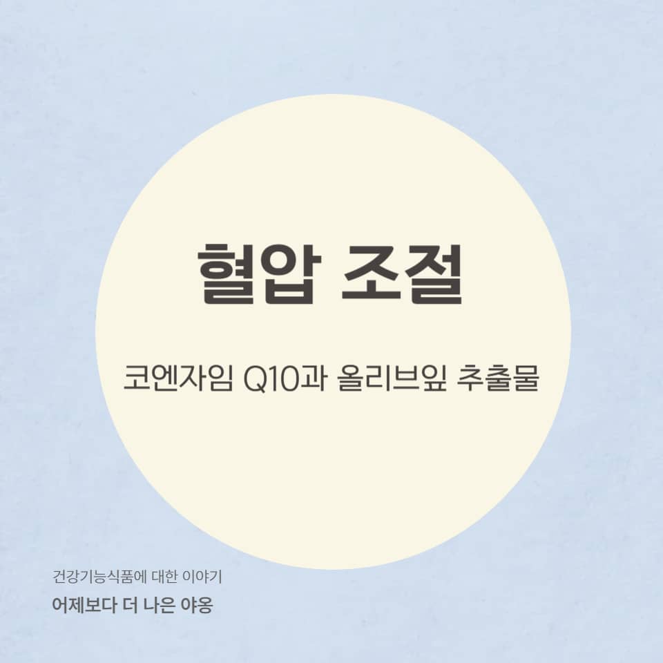 코엔자임 Q10 vs 올리브잎 추출물! 천연 혈압 조절 원료 비교 분석