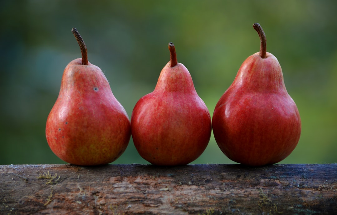 Fruit