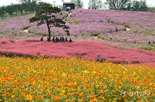 경기도 안성 팜랜드