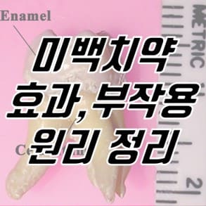 썸네일-이미지