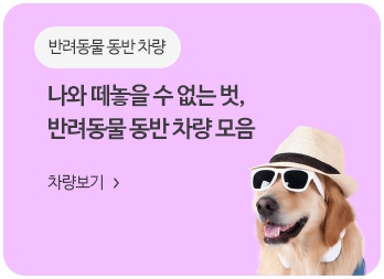 제주도 렌트카