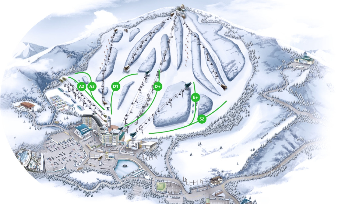 웰리힐리-파크-슬로프