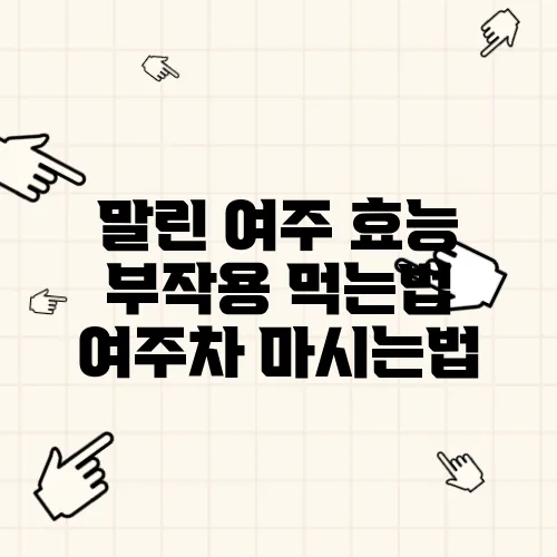 말린 여주 효능 부작용 먹는법 여주차 마시는법