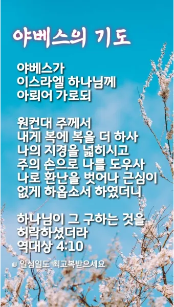 회개 기도문 모음 Best 3 정리_25