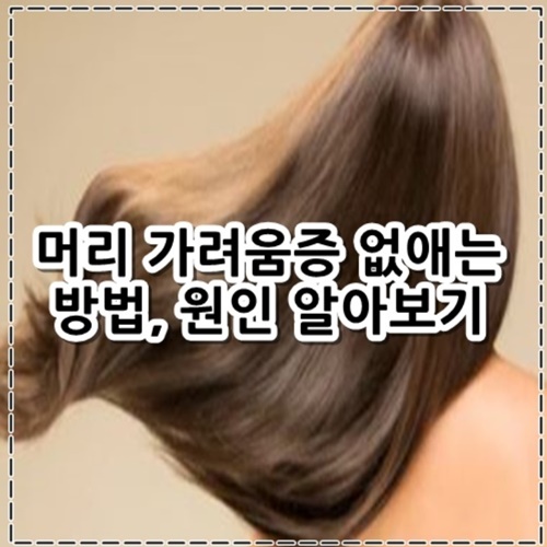 머리 가려움증 없애는 방법, 원인 정리