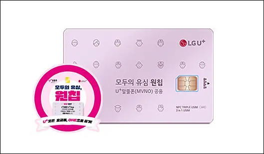 모두의유심-원칩