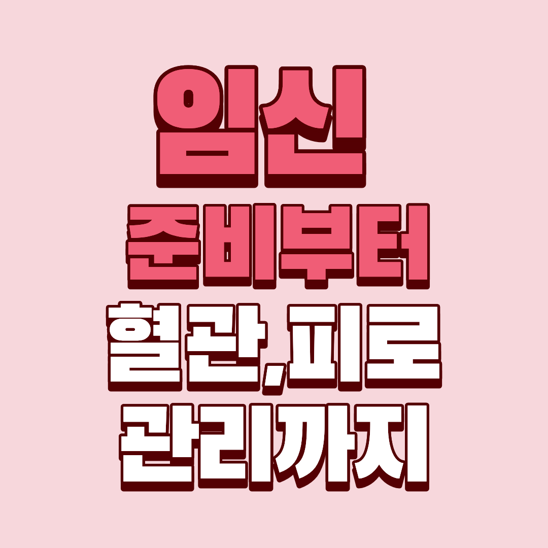 임신 준비부터 혈관, 피로 관리