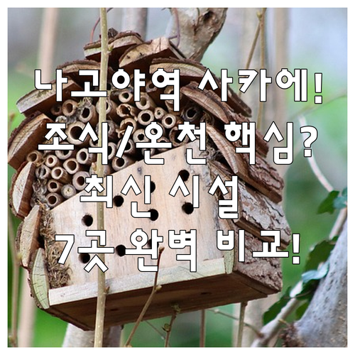 나고야역 사카에 중심 호텔 7곳 정리..