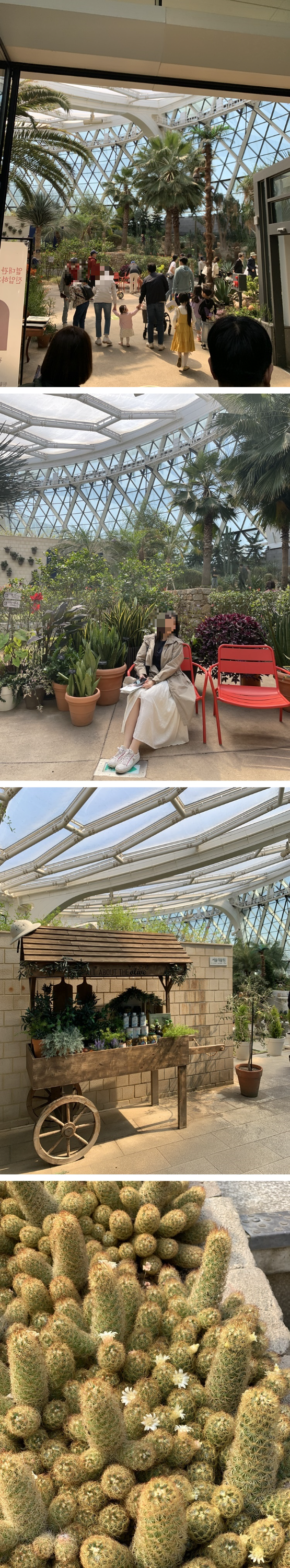 지중해관 입구 및 포토스팟