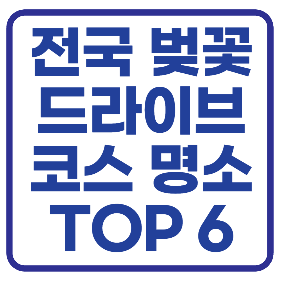 벚꽃 드라이브 코스 TOP 6 추천