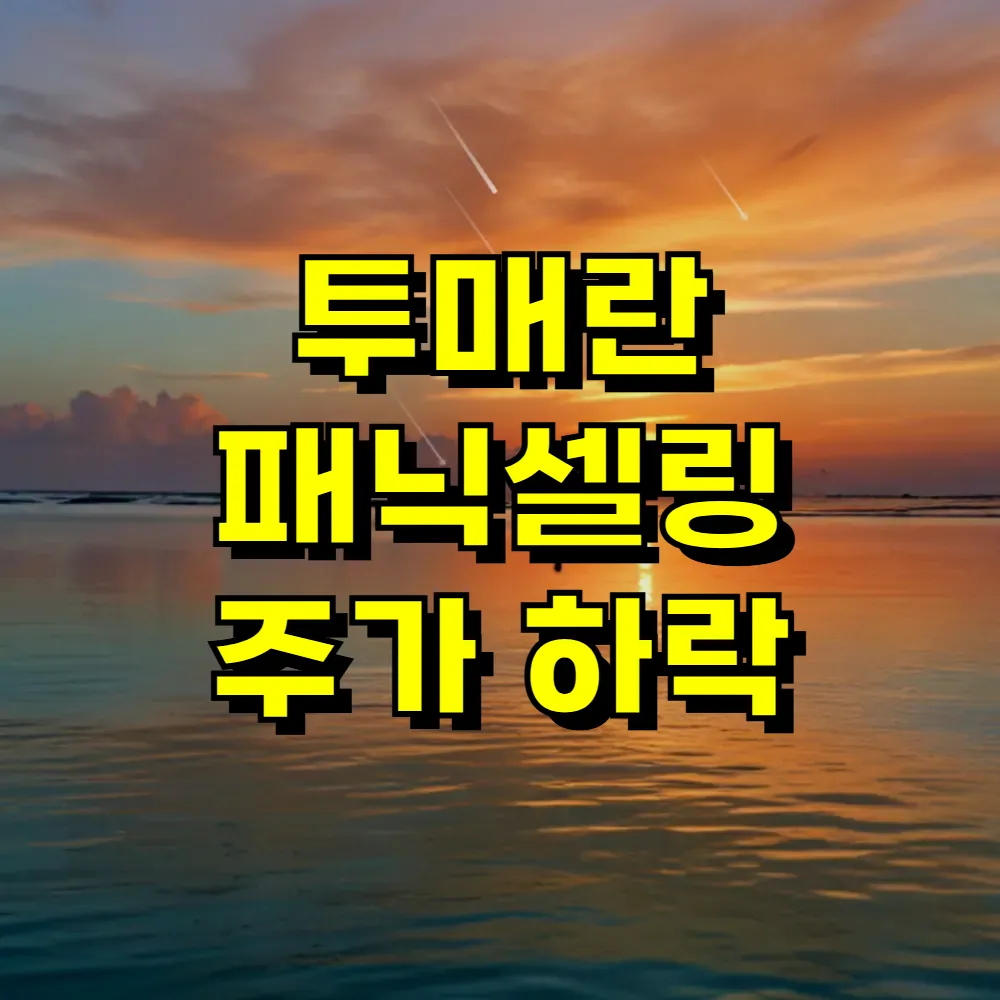 투매란 패닉셀링 주가 하락