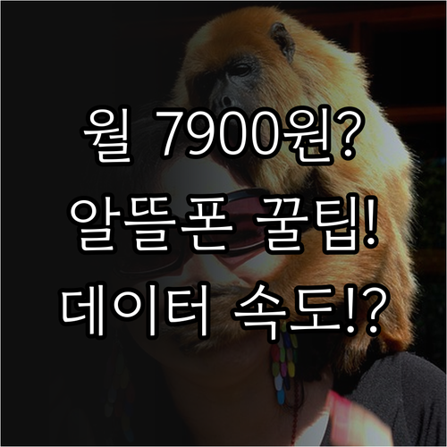 월 7900원부터 가능한 알뜰폰 요금..
