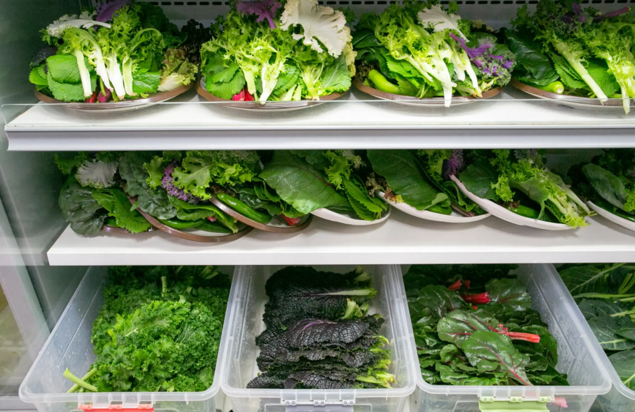 생방송-오늘-저녁-우렁이-쌈밥-위치-정보-안내