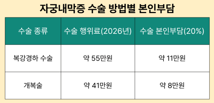 자궁내막증 수술 방법별 본인부담