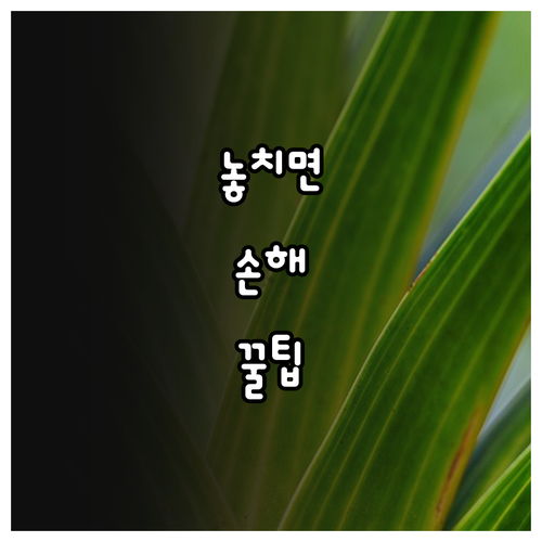2025 안양청년옷장 면접 정장 무료..