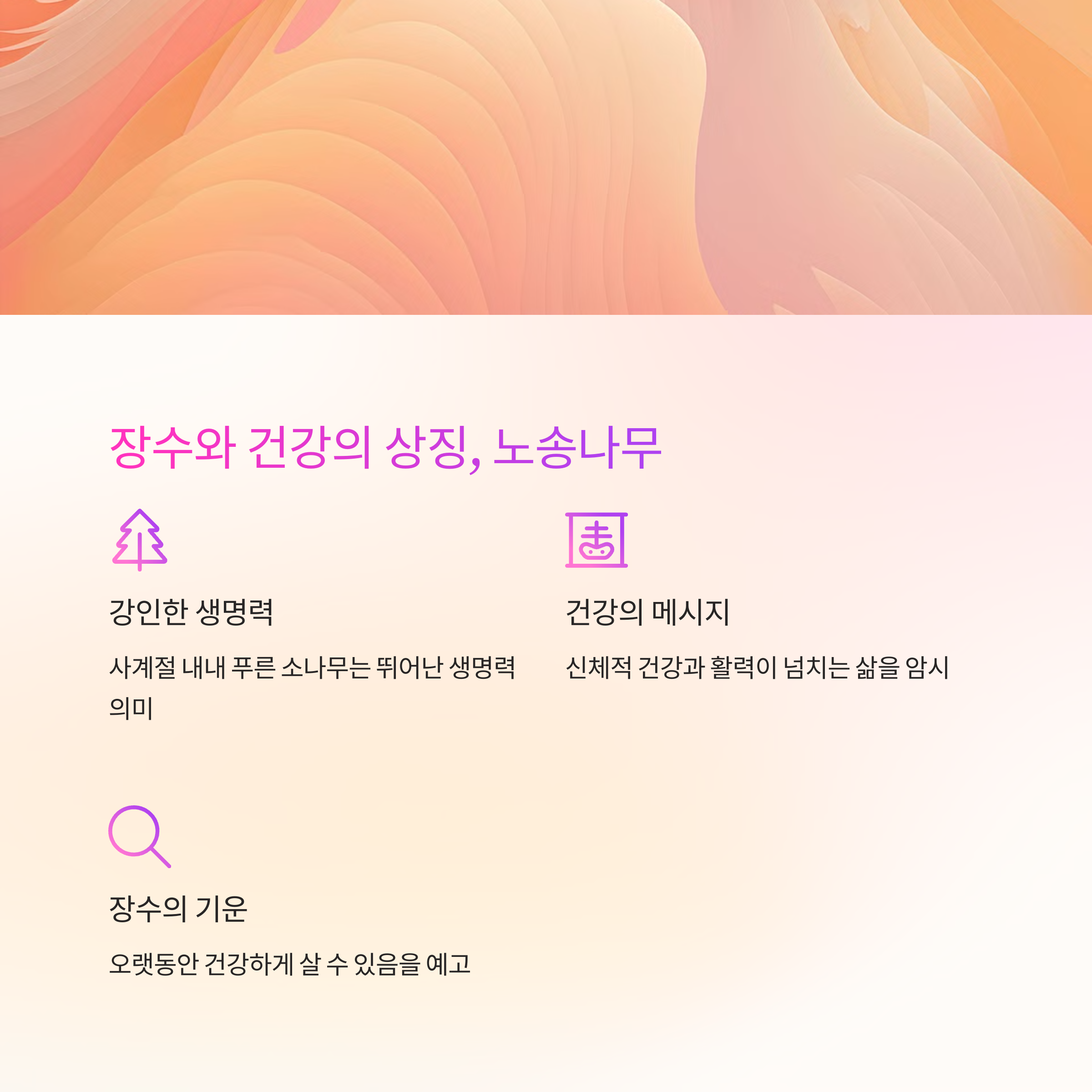 노송나무 소나무를 보는 꿈