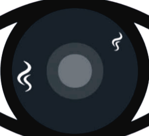 눈에 날파리 현상