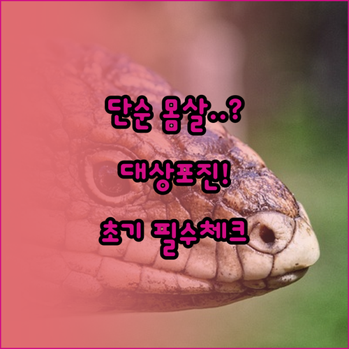 대상포진 초기 몸살 증상 차이점과 효..