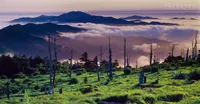 지리산