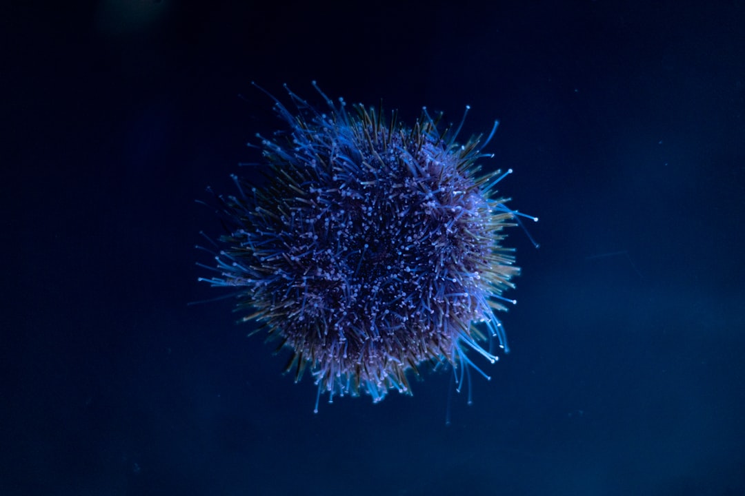 'Immunity'