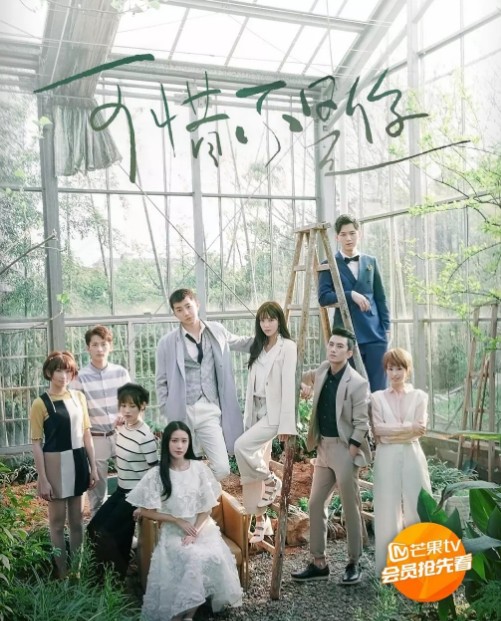 [재밌는 중드추천] 하이틴, 학원물, 청춘드라마 - 가석불시니