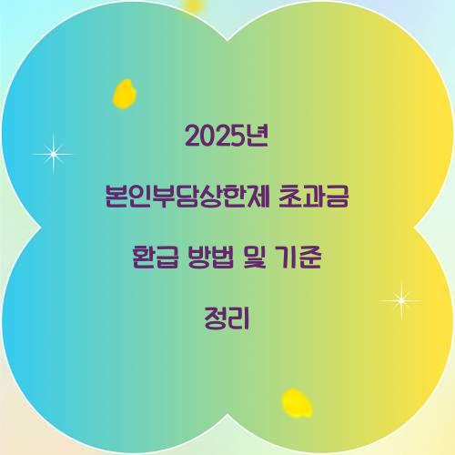 2025년 본인부담상한제 초과금 환급