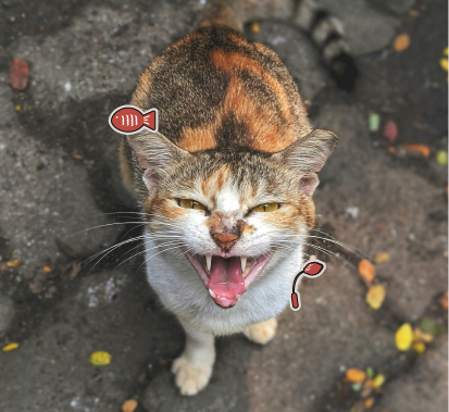 물림상처