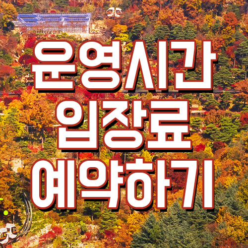 단풍사진