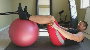 스위스 볼 레그 컬