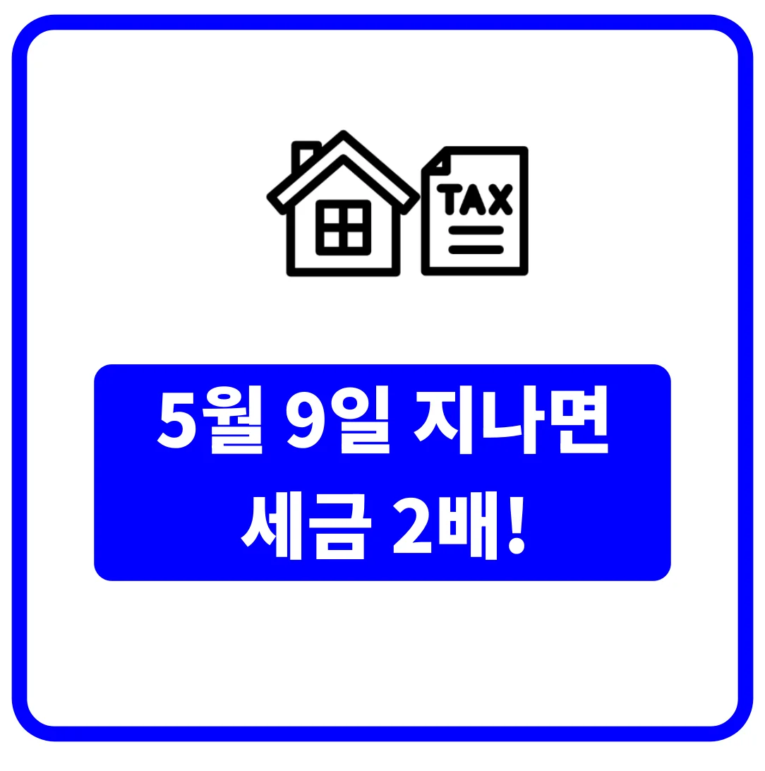 5월9일부동산