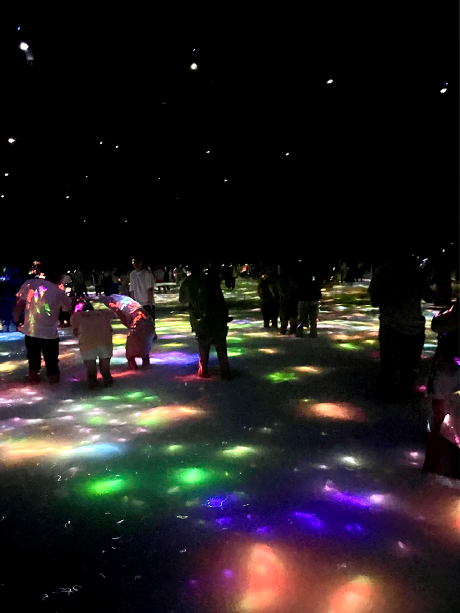 일본 도쿄 팀랩 플래닛 여행-사람과 함께 춤추는 잉어가 그리는 수면 위의 드로잉