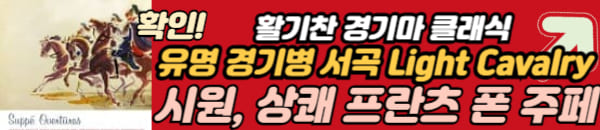 프란츠 폰 주페