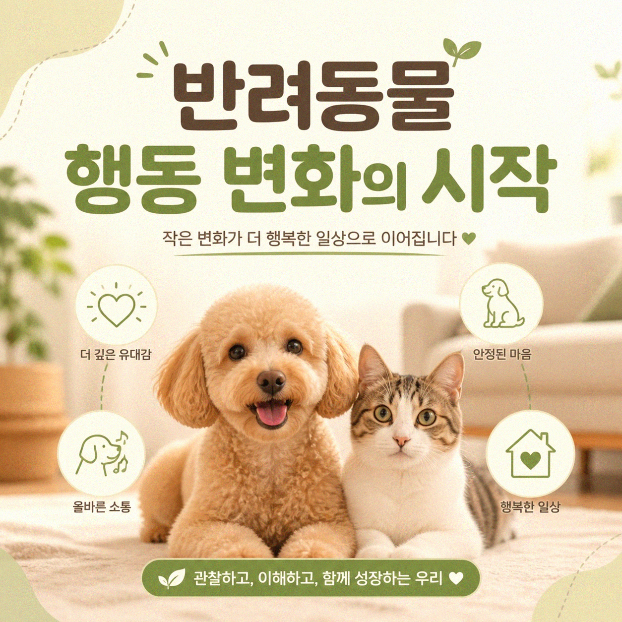 반려동물 공간 꾸미기, 뭘 바꿀 수 있나