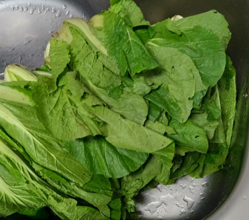 먼저-깨끗이-씻어줍니다.