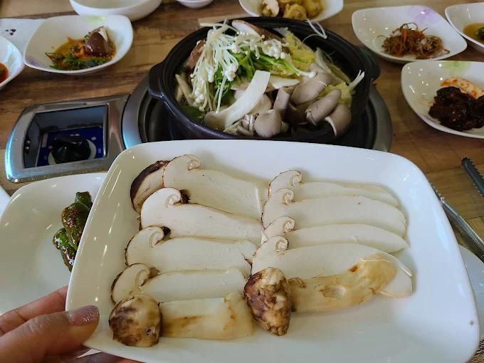 강원도 양양 맛집, 송이버섯마을