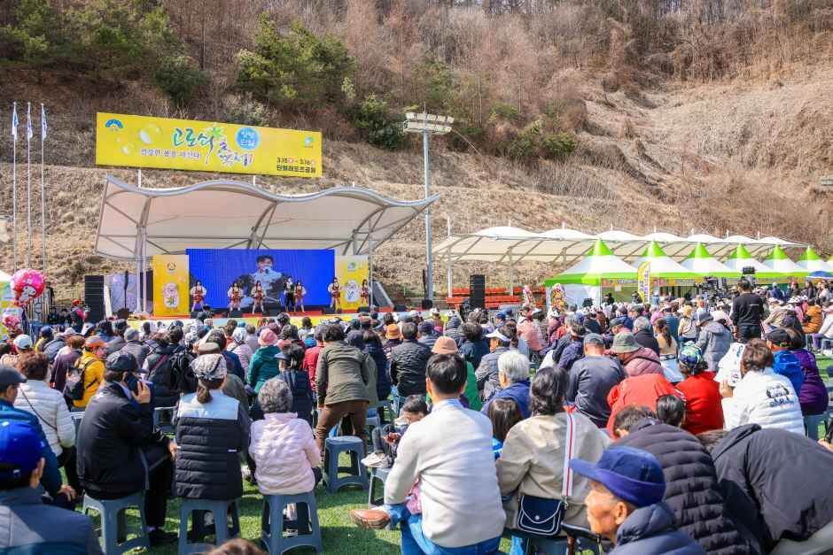양평 단월 고로쇠축제