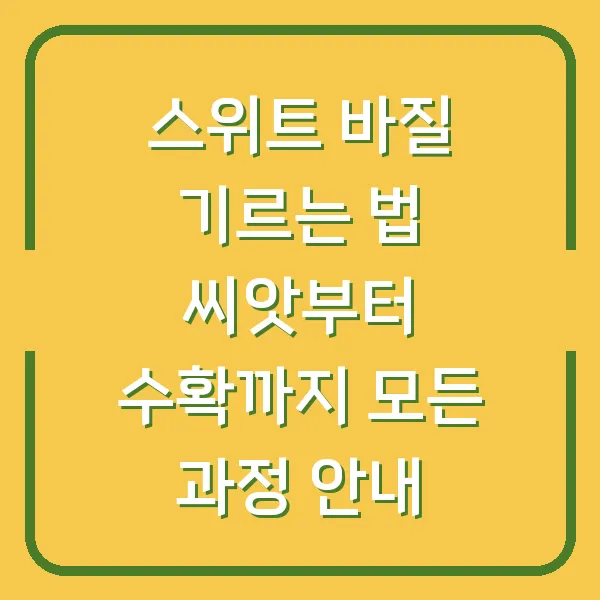 스위트 바질 기르는 법 씨앗부터 수확까지 모든 과정 안내