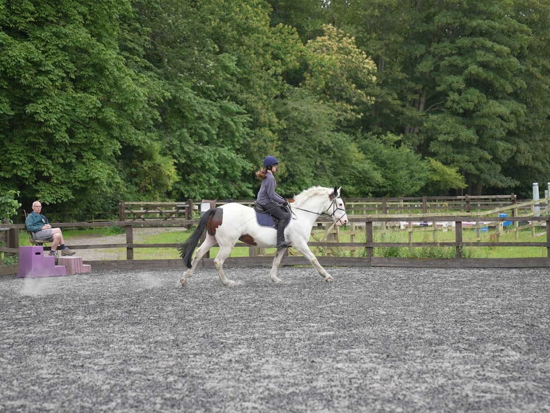 trot