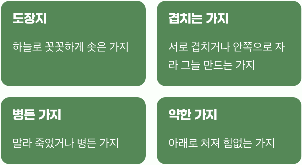 무엇을 잘라야 할까? 솎아낼 가지 구별법
