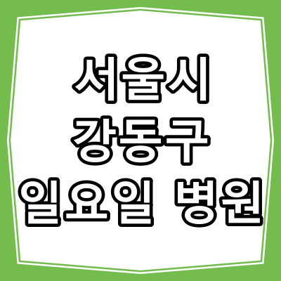 서울 강동구 일요일 진료 하는 동네 병원과 진료 시간