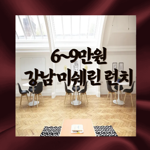 6~9만원강남미쉐린런치