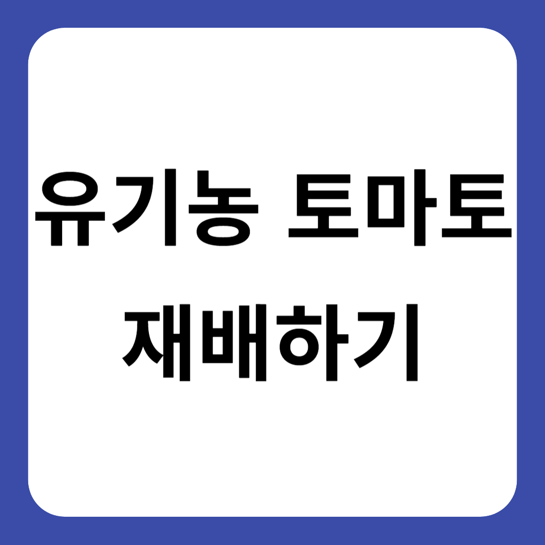 유기농 토마토 재배법